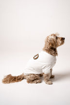 Dog Sweater star white