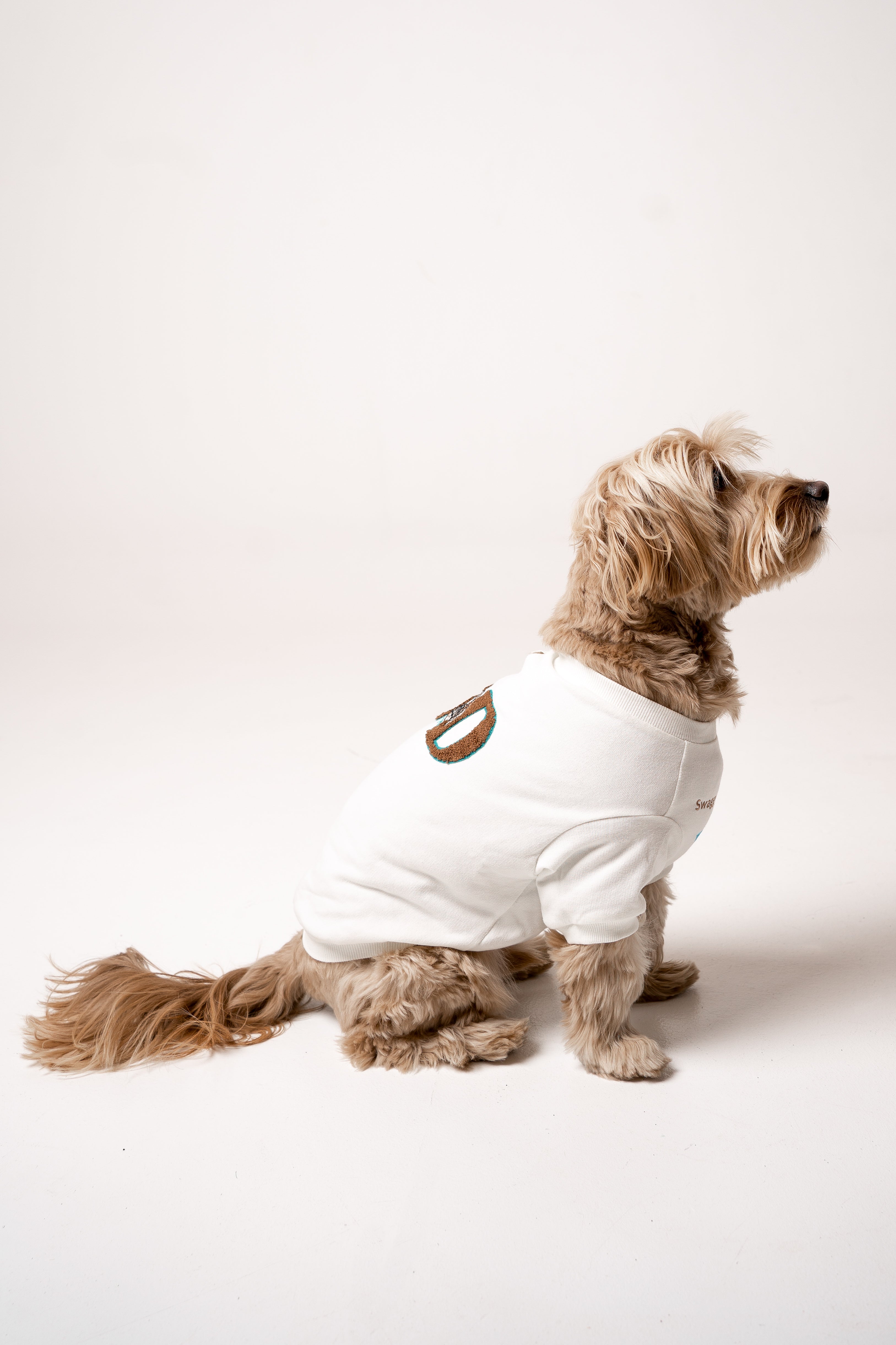 Dog Sweater star white