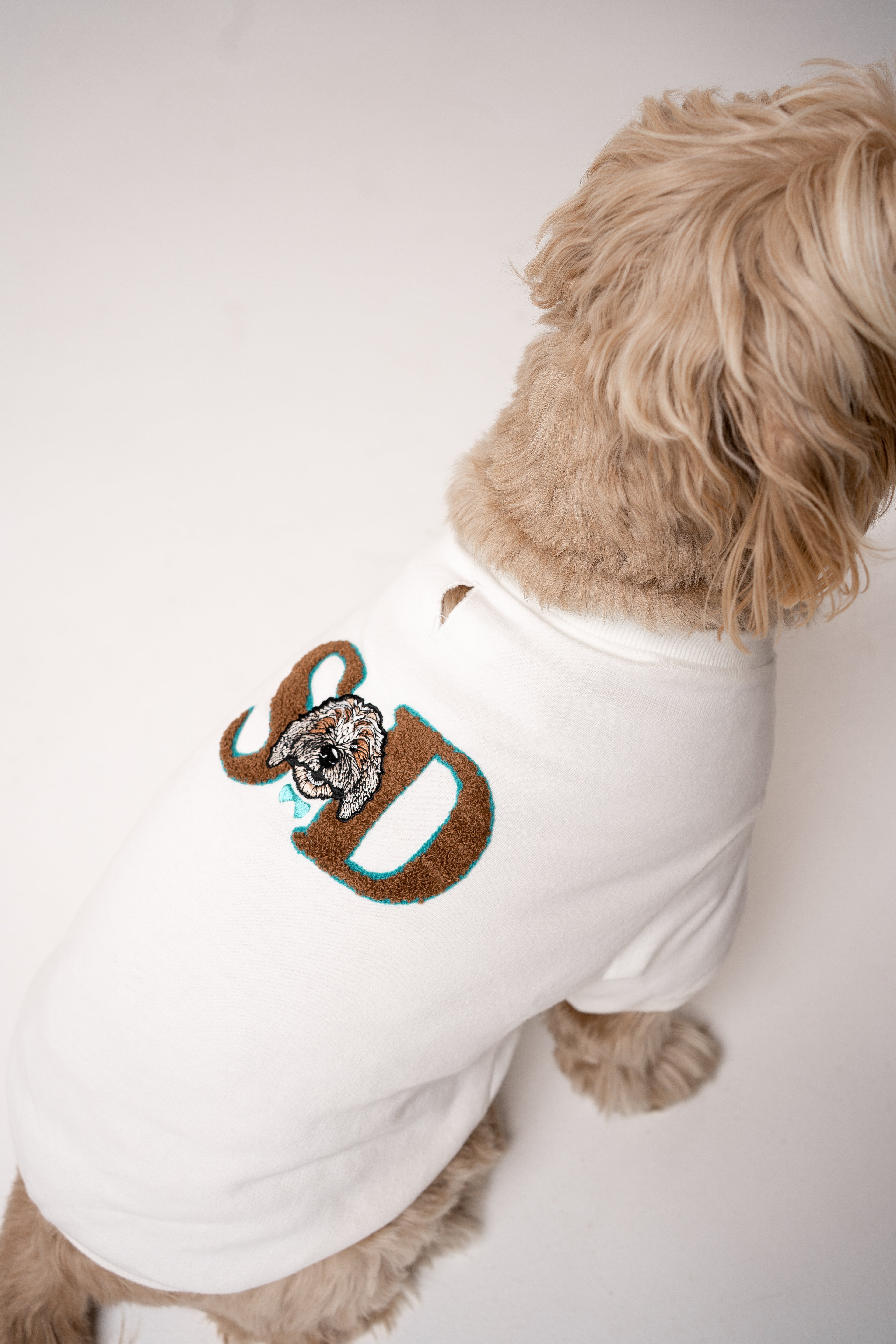 Dog Sweater star white