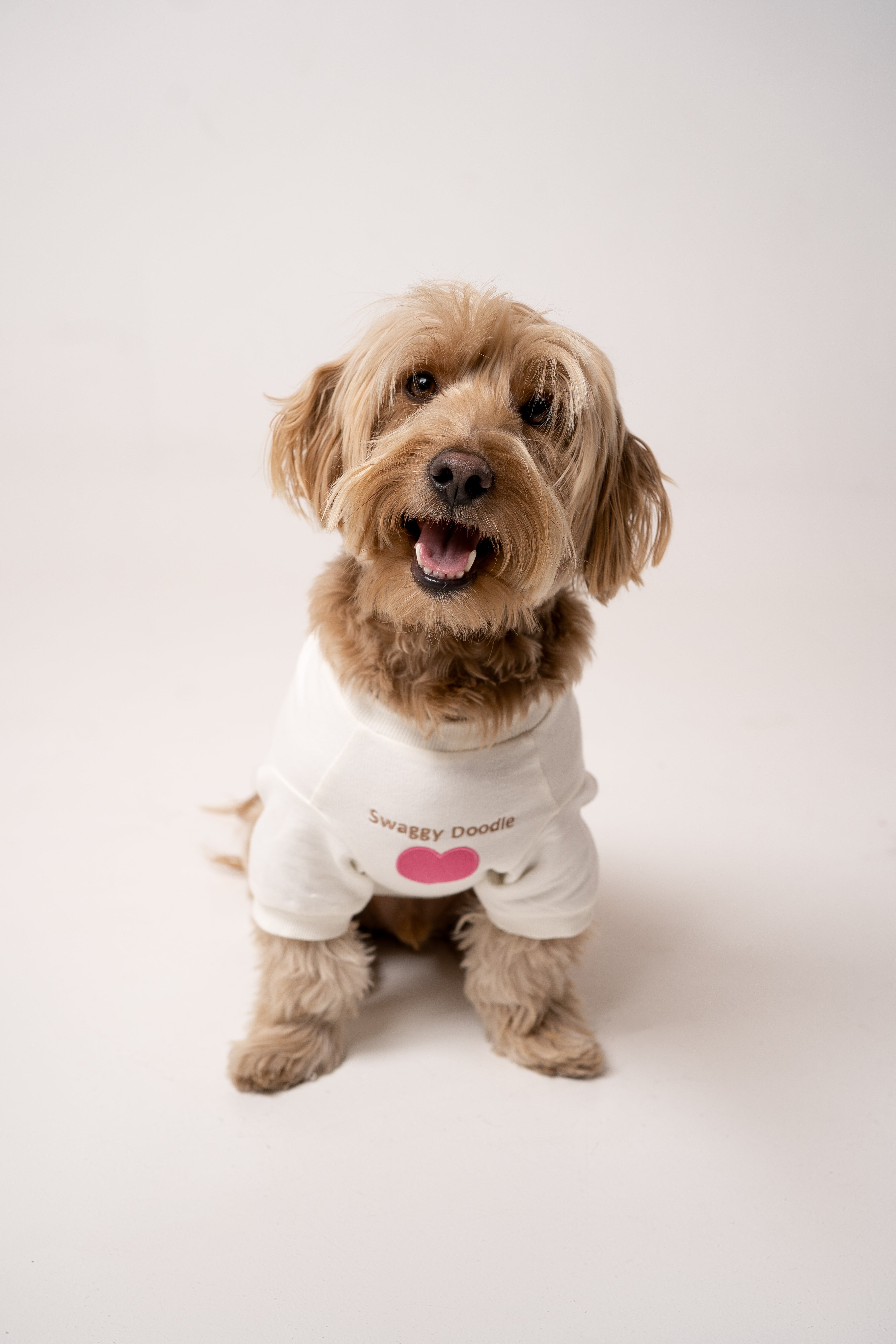Dog's Pink Heart Patched Sweatshirt white
