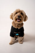 Dog Sweater star black
