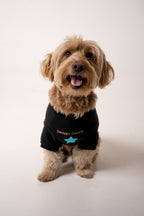 Dog Sweater star black