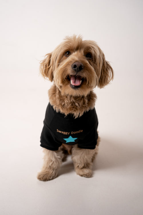 Dog Sweater star black