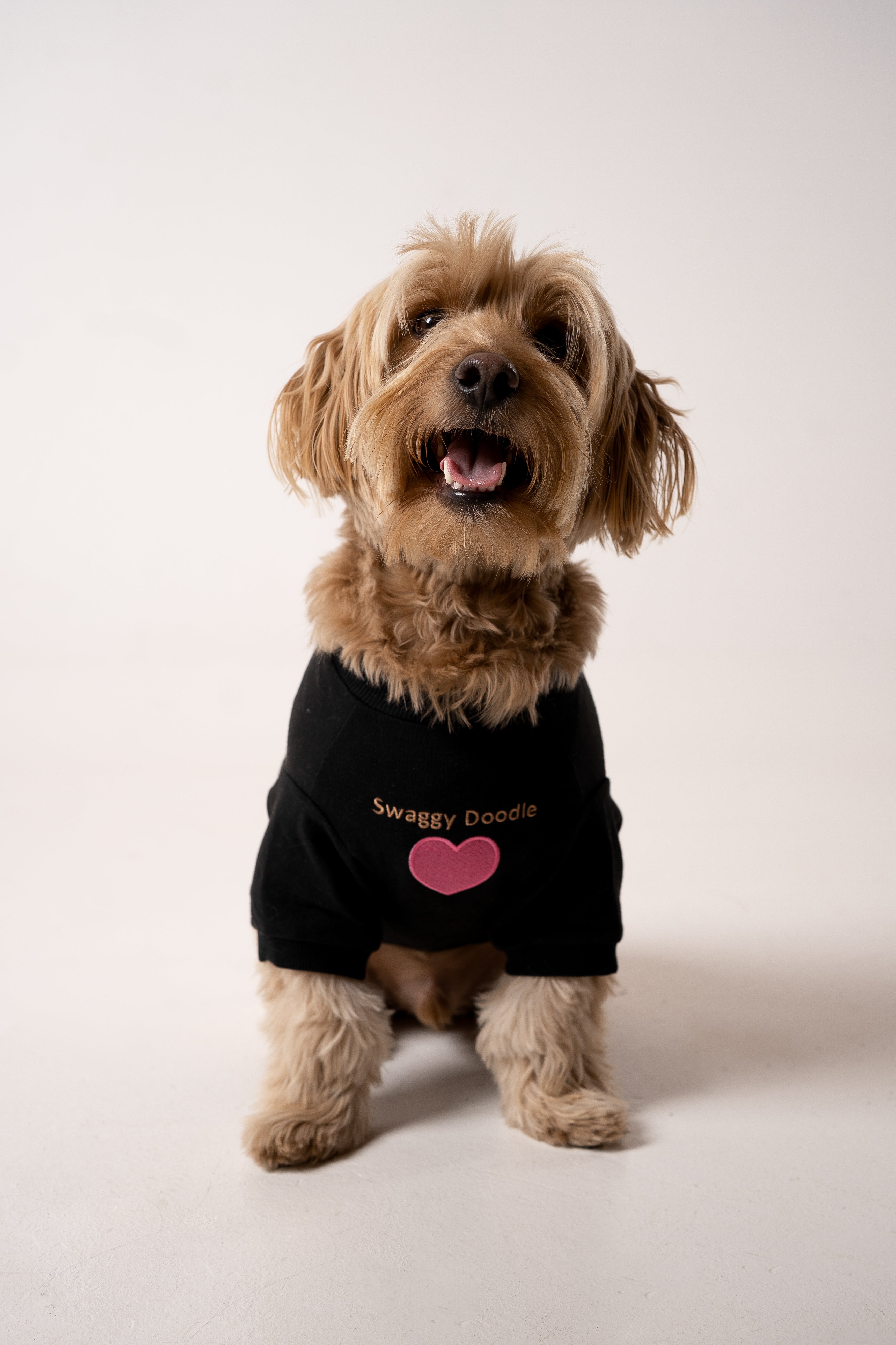 Dog's Pink Heart Patched Sweatshirt black