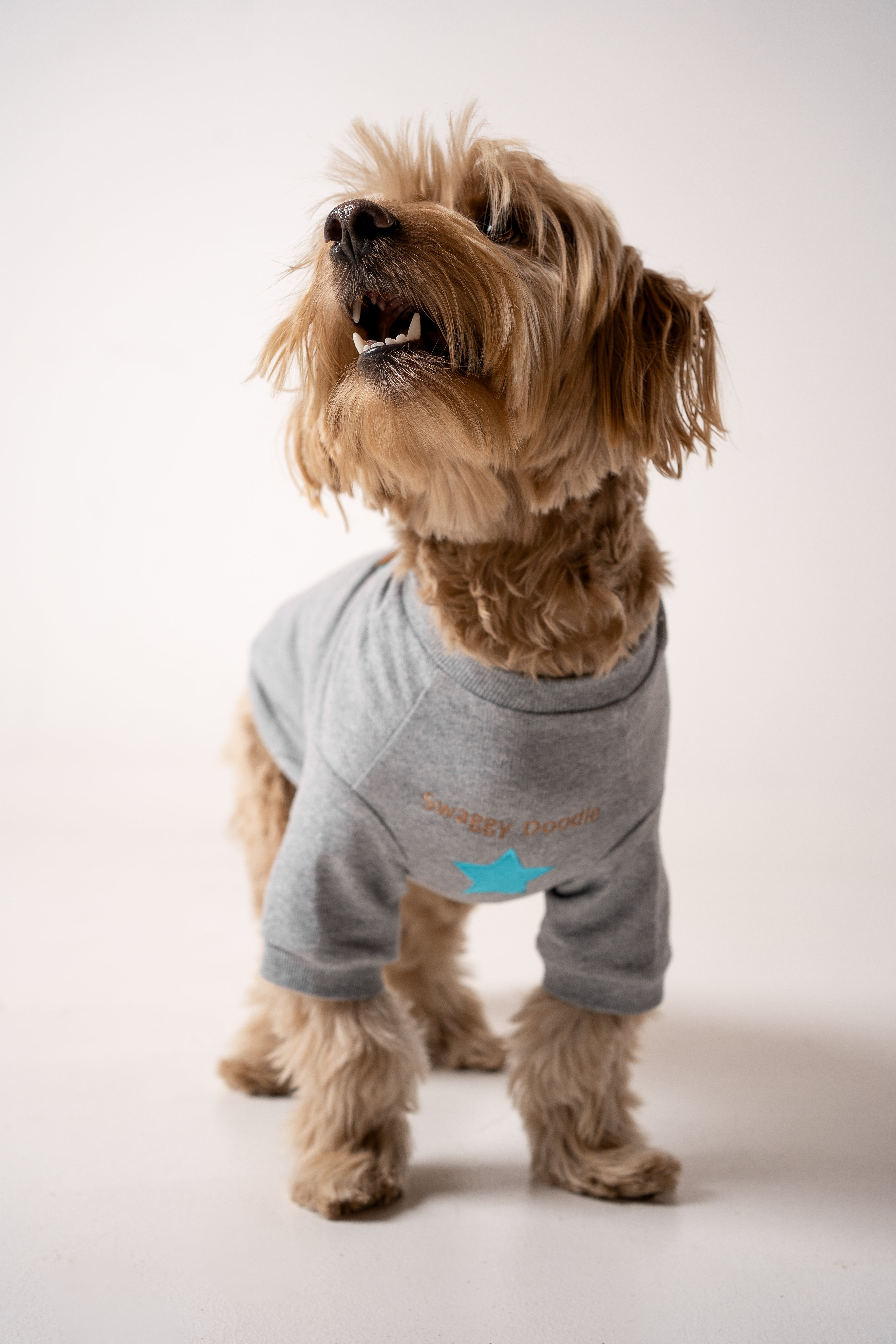 Dog Sweater star gray