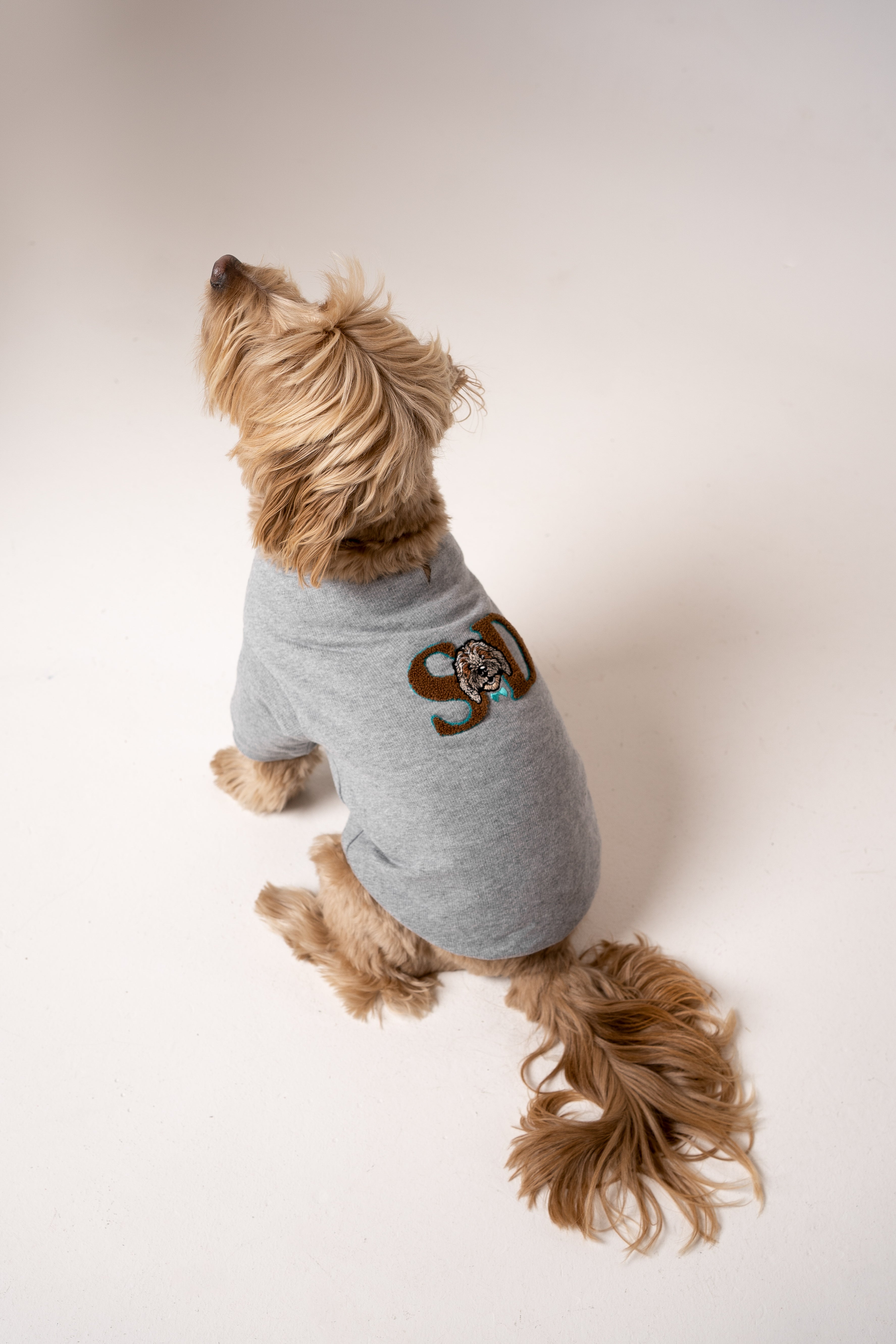 Dog Sweater star gray