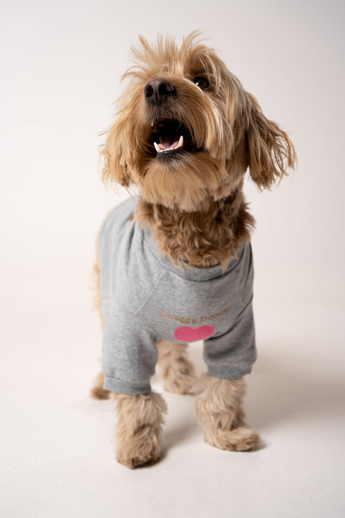 Dog's Pink Heart Patched Sweatshirt gray