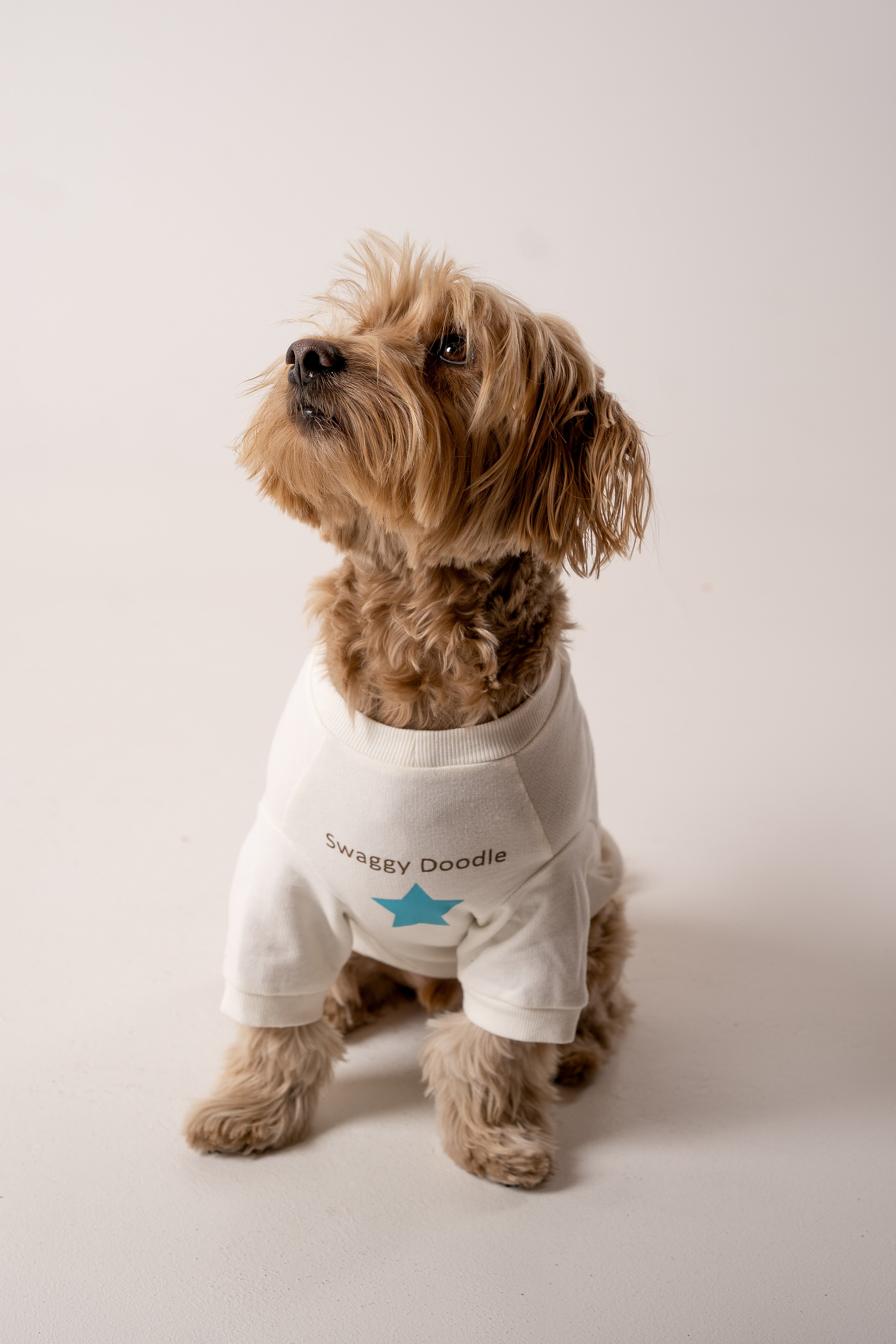 Dog Sweater star white