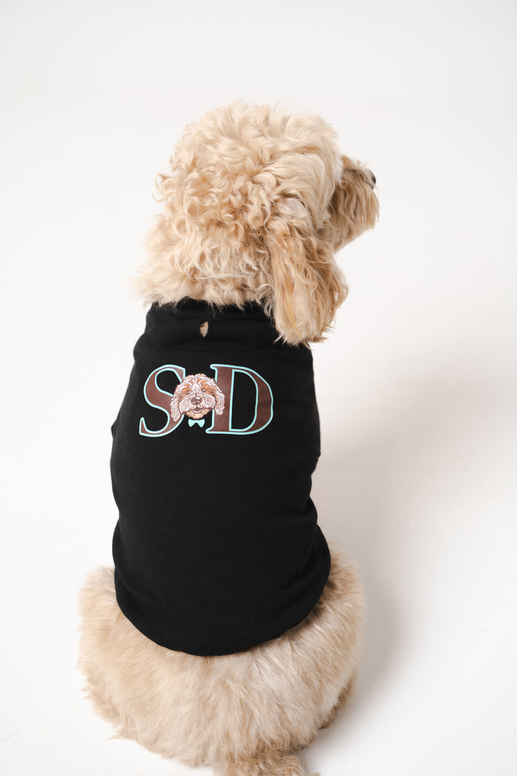 Dog's Blue Star Printed Sweatshirt black