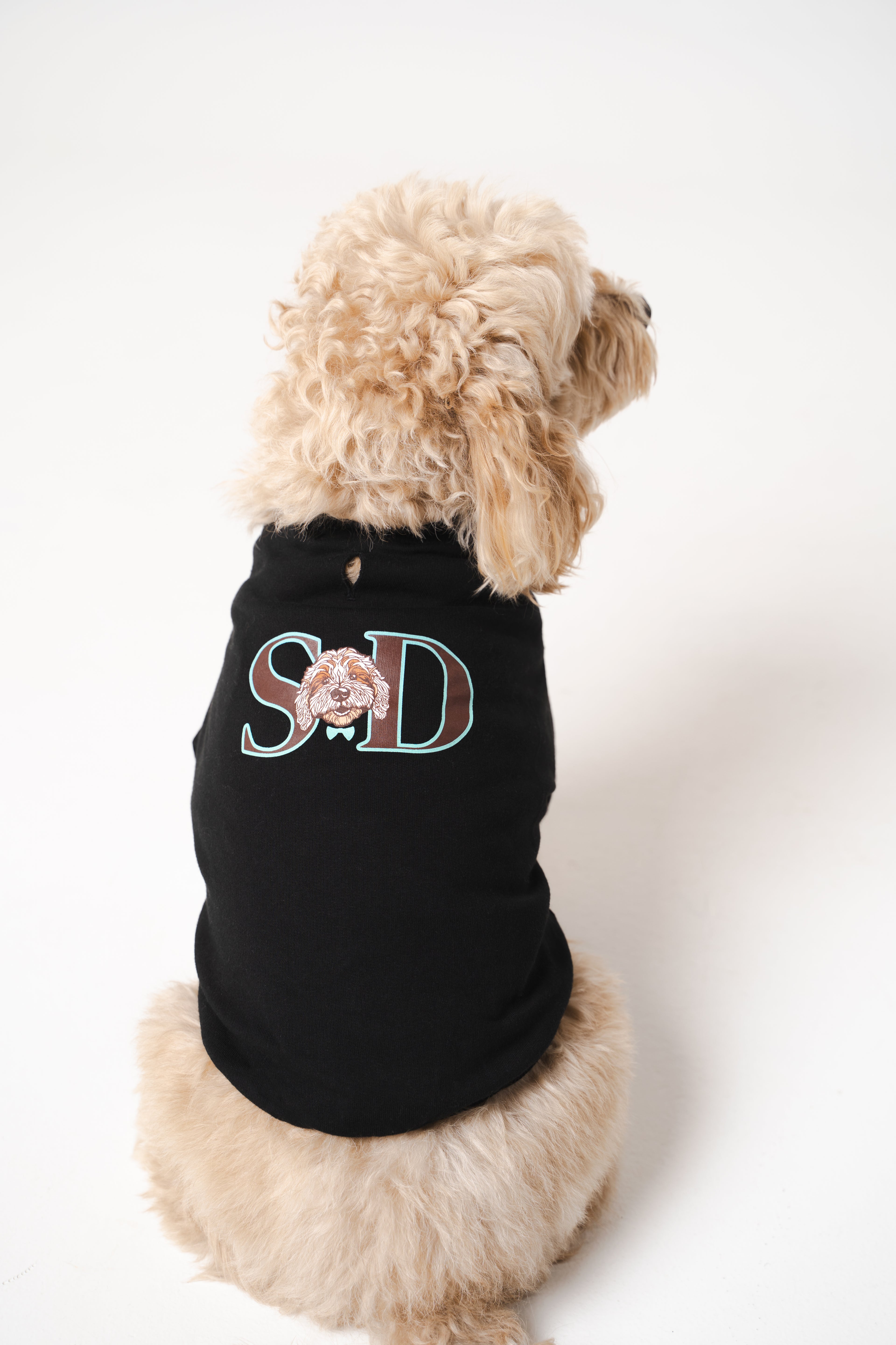 Dog's Blue Star Printed Sweatshirt black