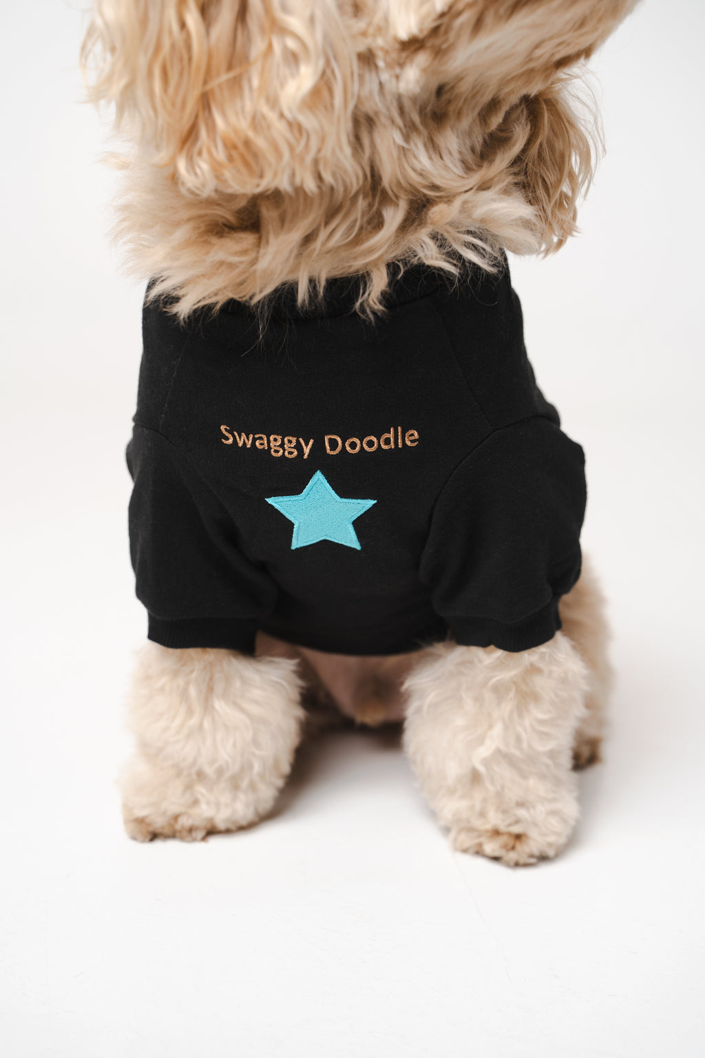 Doodle Dog's Blue Star Patched Sweatshirt