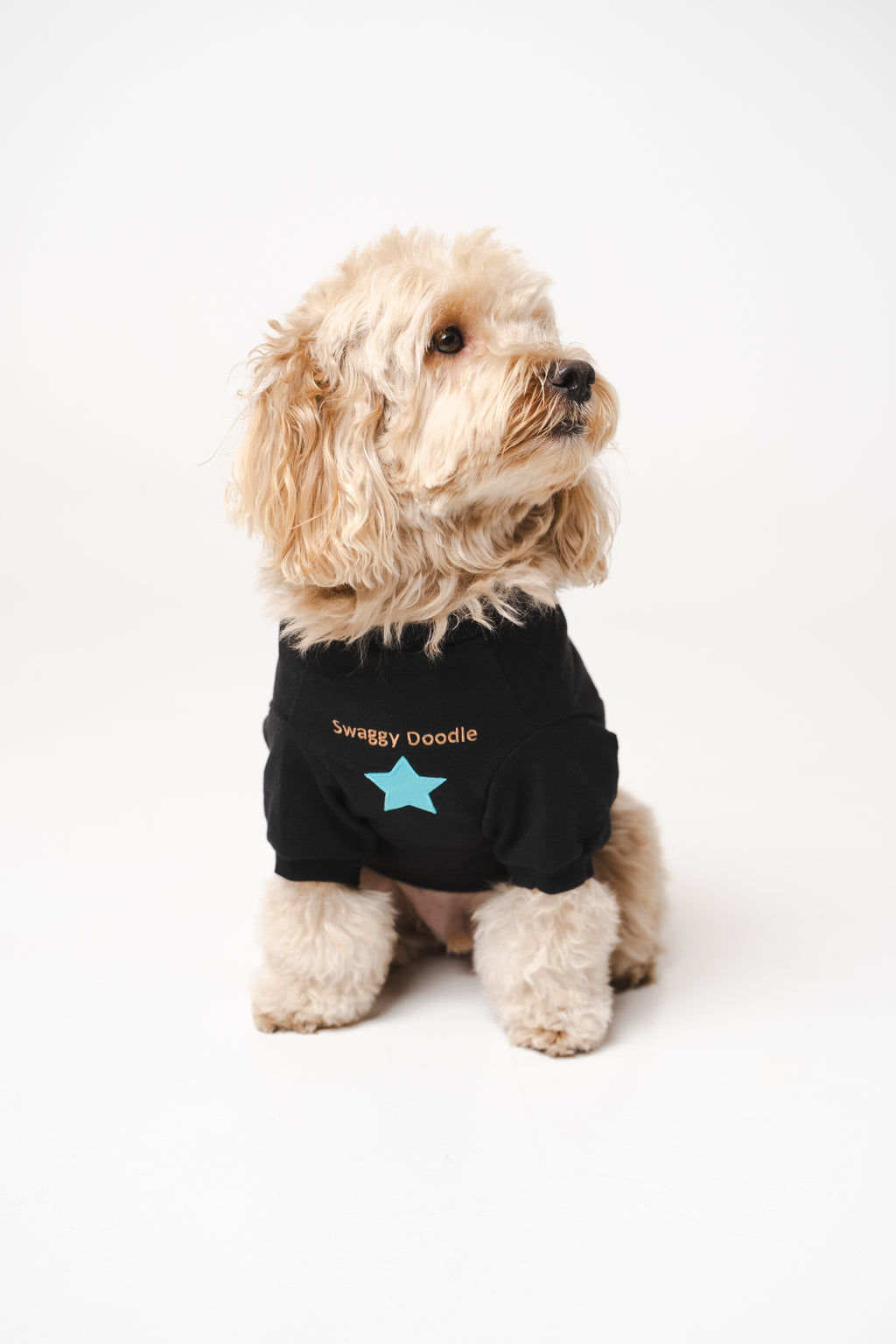 Doodle Dog's Blue Star Patched Sweatshirt