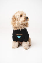 Doodle Dog's Blue Star Patched Sweatshirt