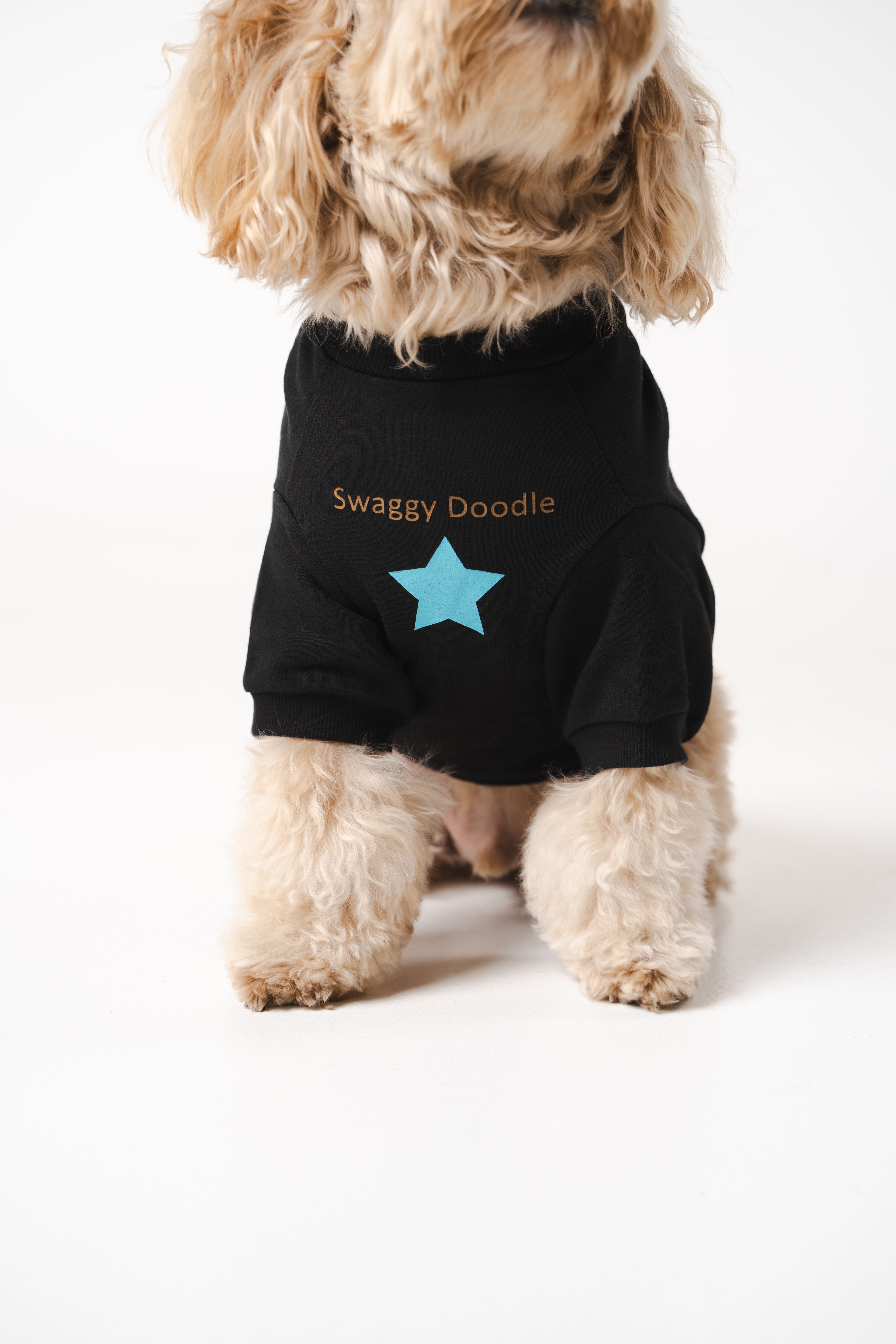 Dog's Blue Star Printed Sweatshirt black