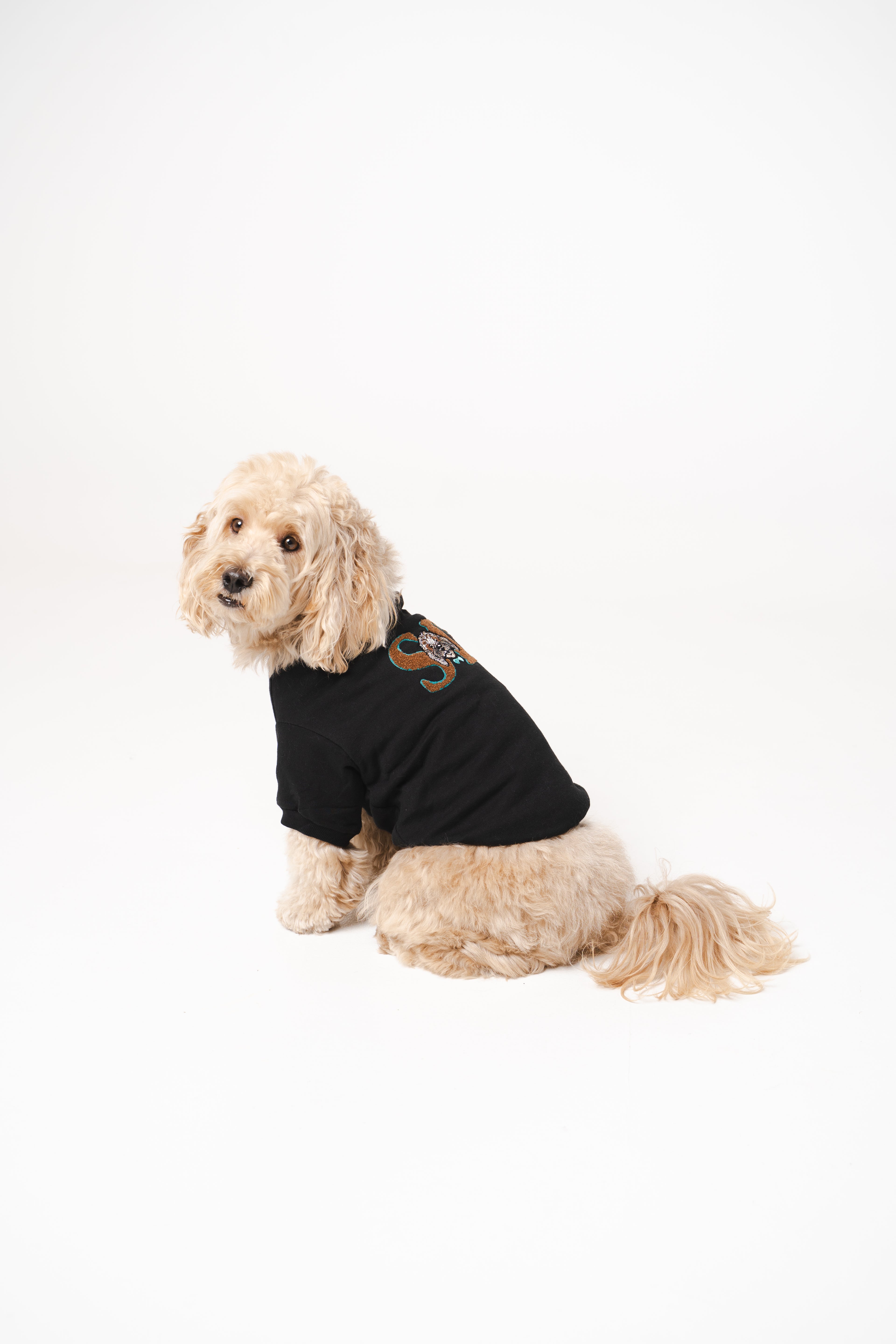 Doodle Dog's Blue Star Patched Sweatshirt