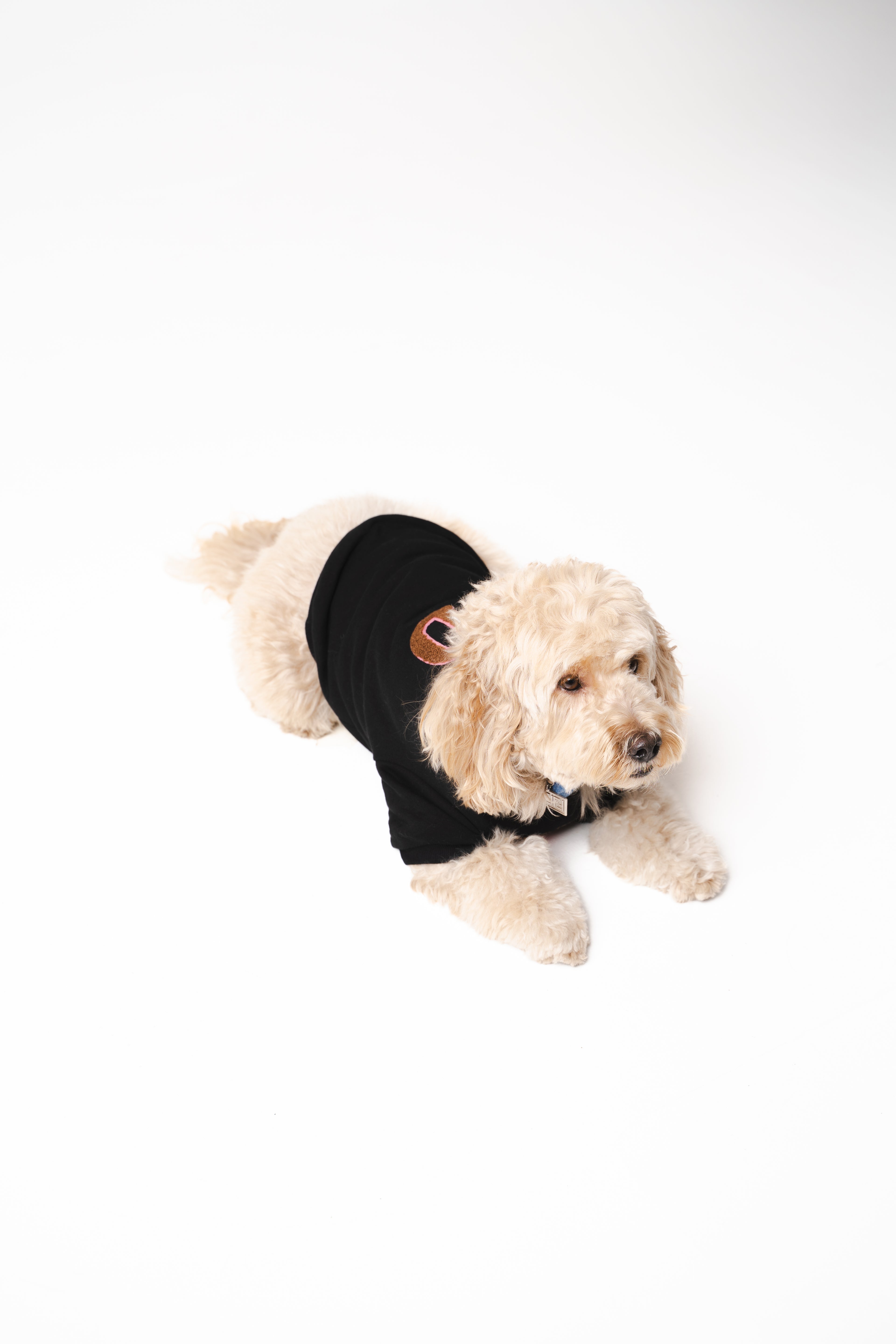 Dog's Pink Heart Patched Sweatshirt black