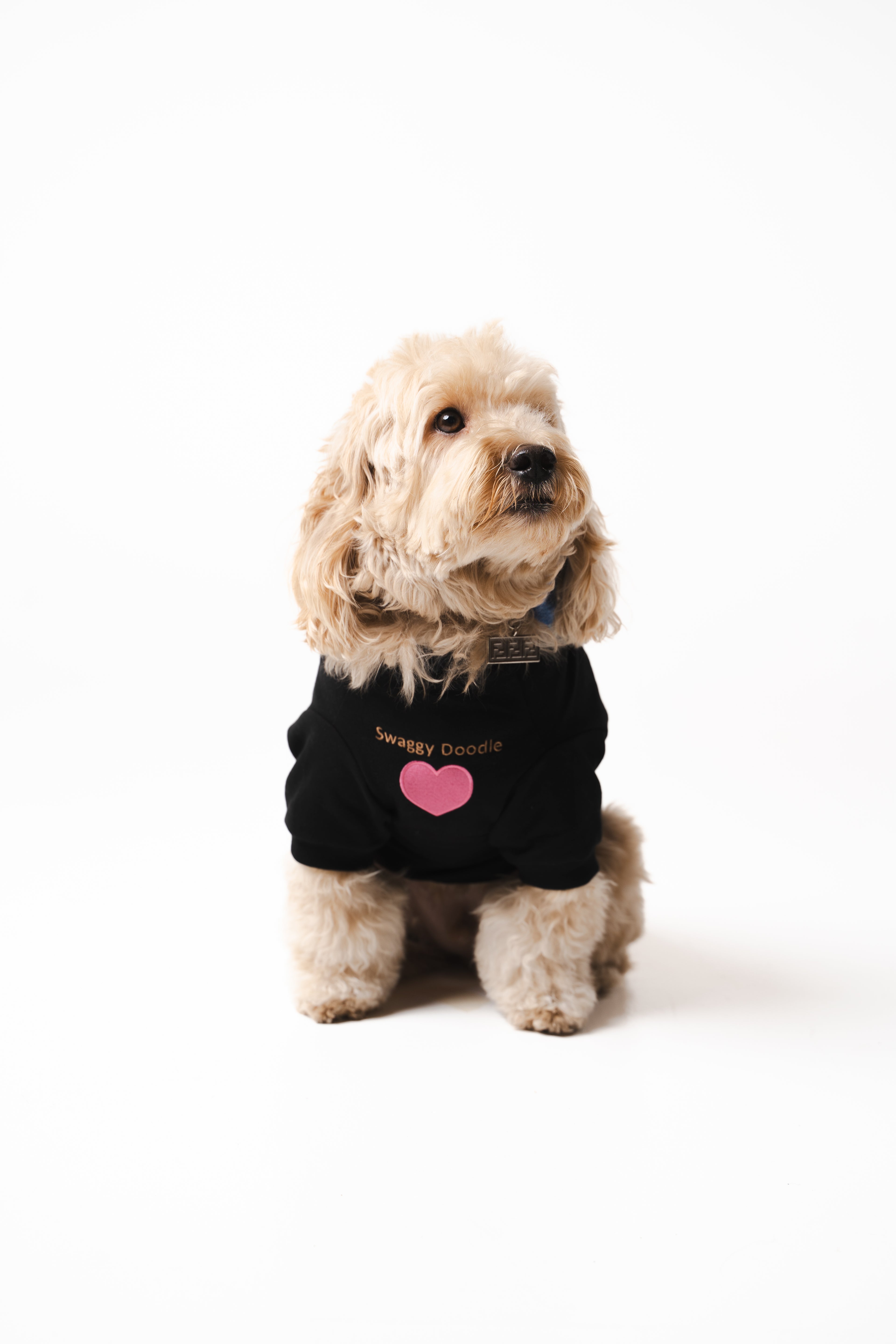 Dog's Pink Heart Patched Sweatshirt black