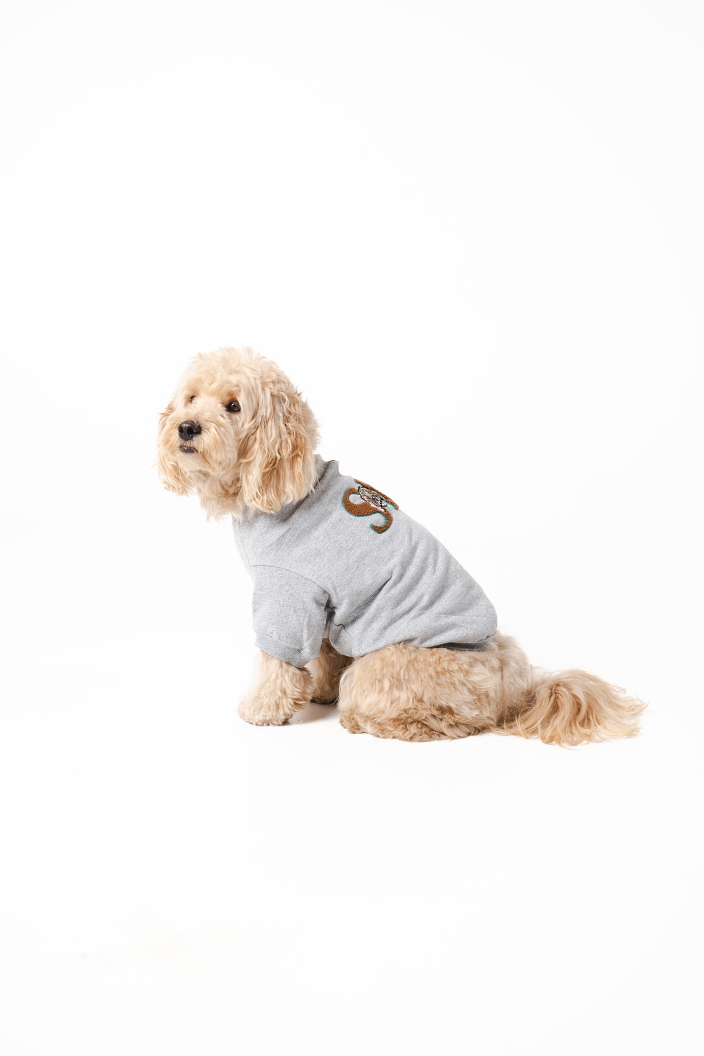 Doodle Dog's Blue Star Patched Sweatshirt