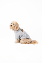 Doodle Dog's Blue Star Patched Sweatshirt