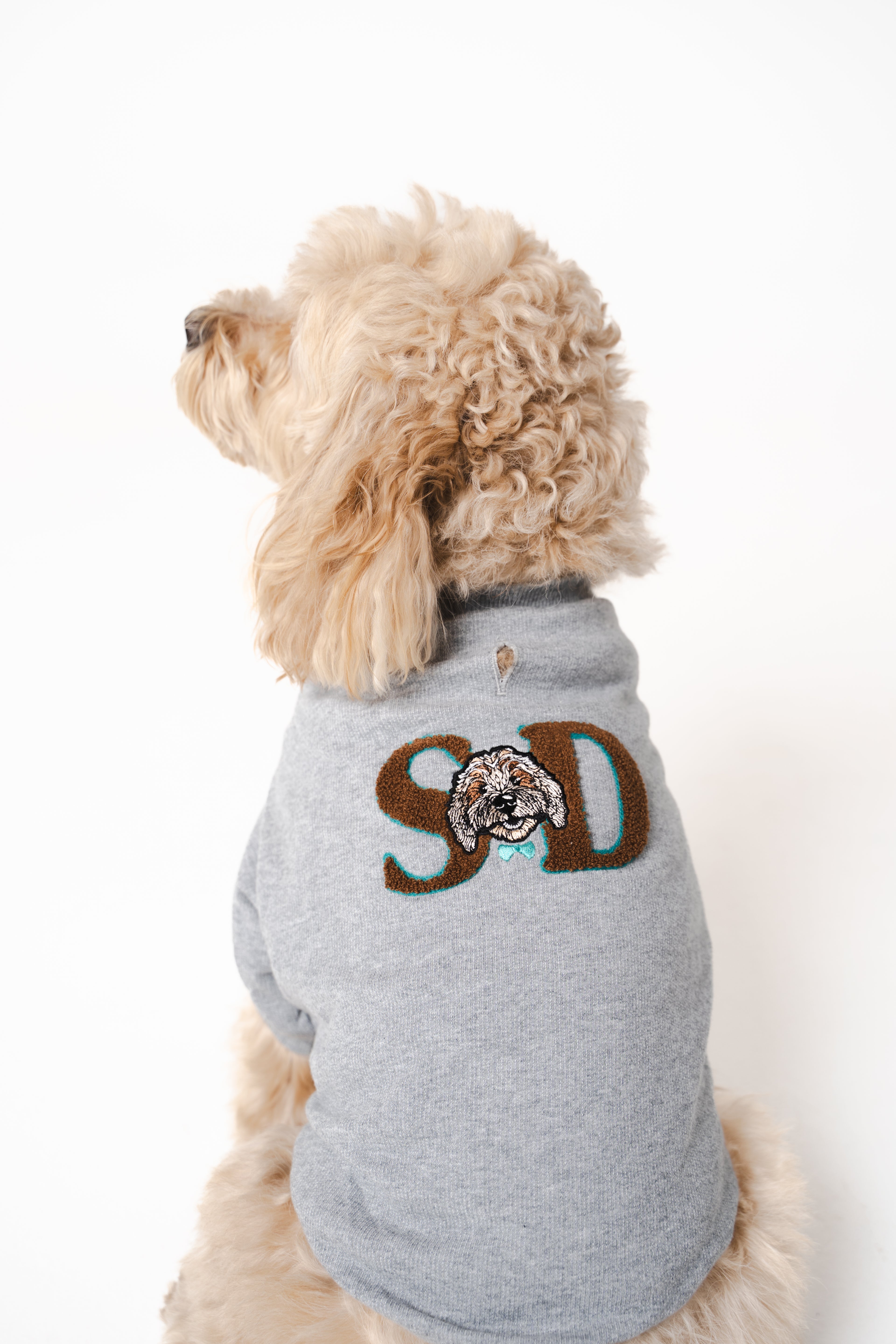 Doodle Dog's Blue Star Patched Sweatshirt