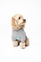Doodle Dog's Blue Star Patched Sweatshirt