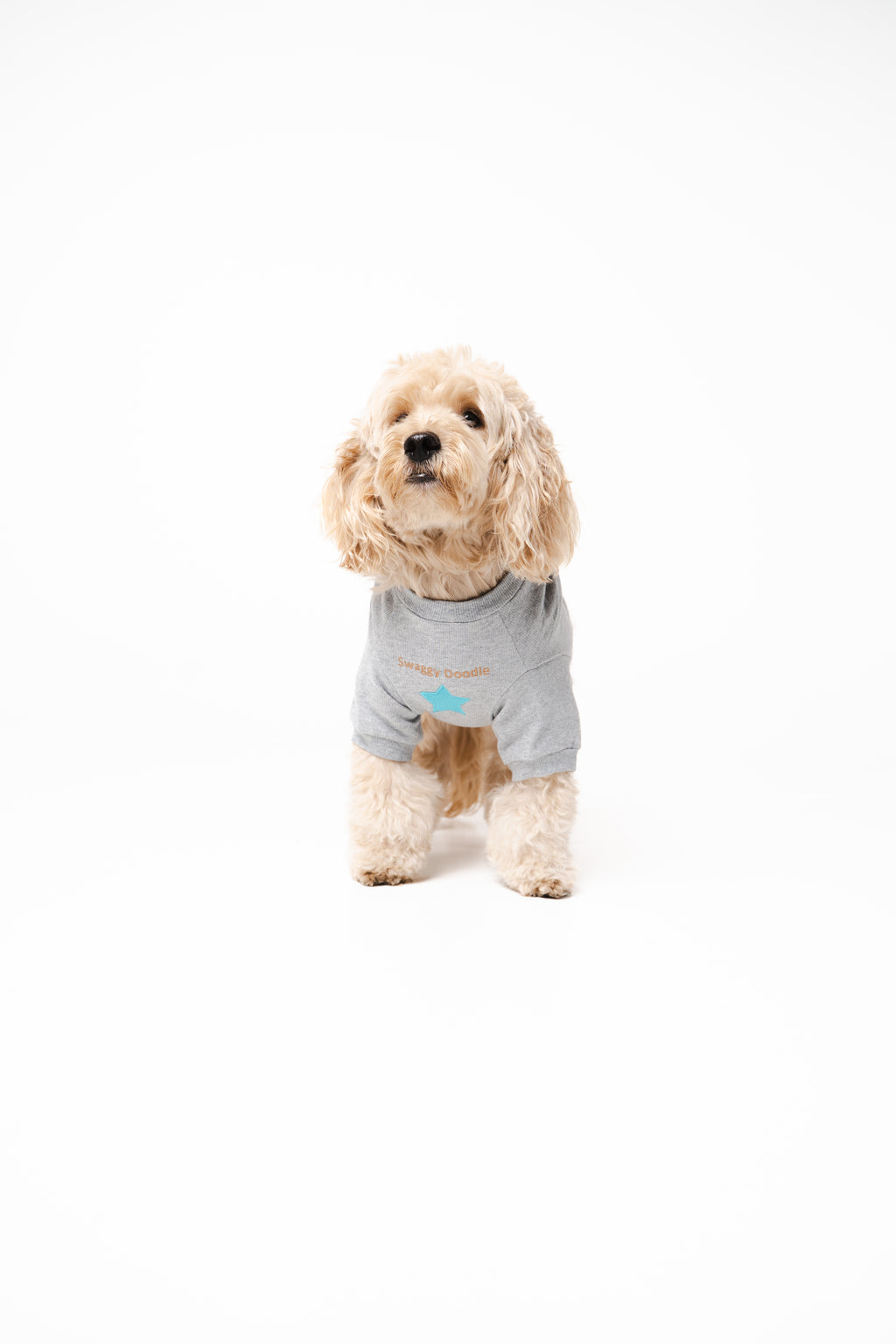 Doodle Dog's Blue Star Patched Sweatshirt