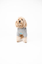Doodle Dog's Blue Star Patched Sweatshirt