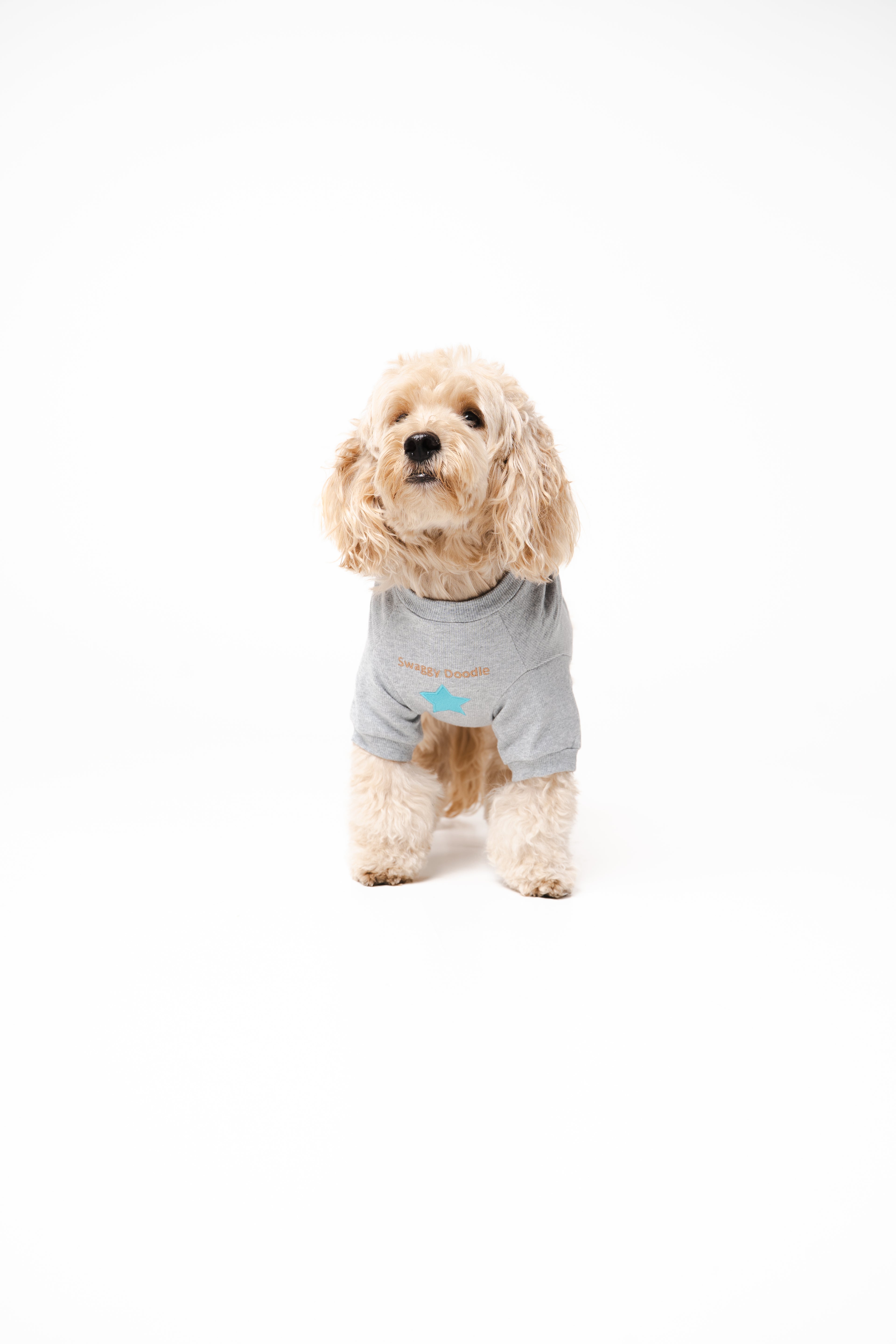 Doodle Dog's Blue Star Patched Sweatshirt