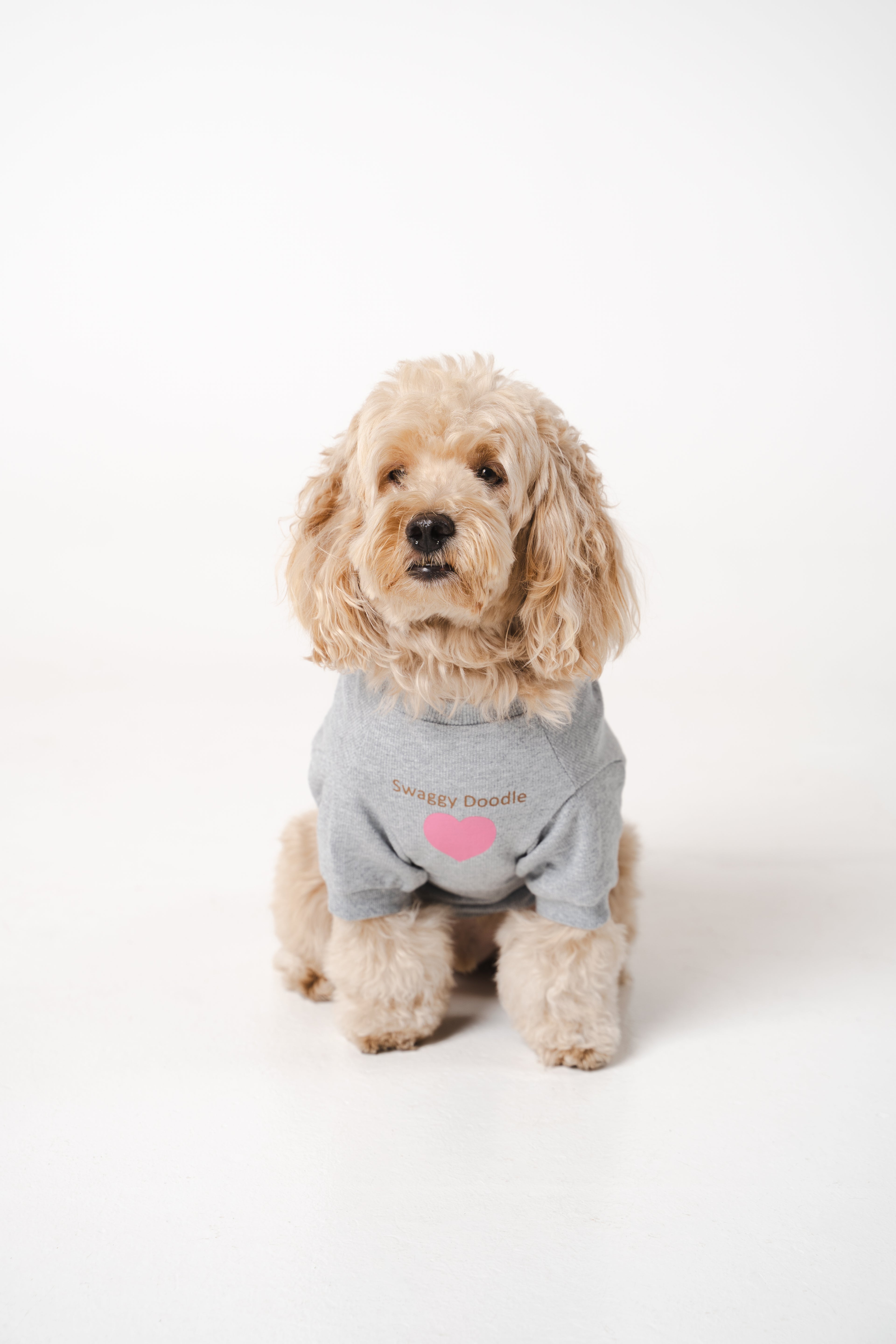 Doodle Dog's Pink Heart Printed Sweatshirt