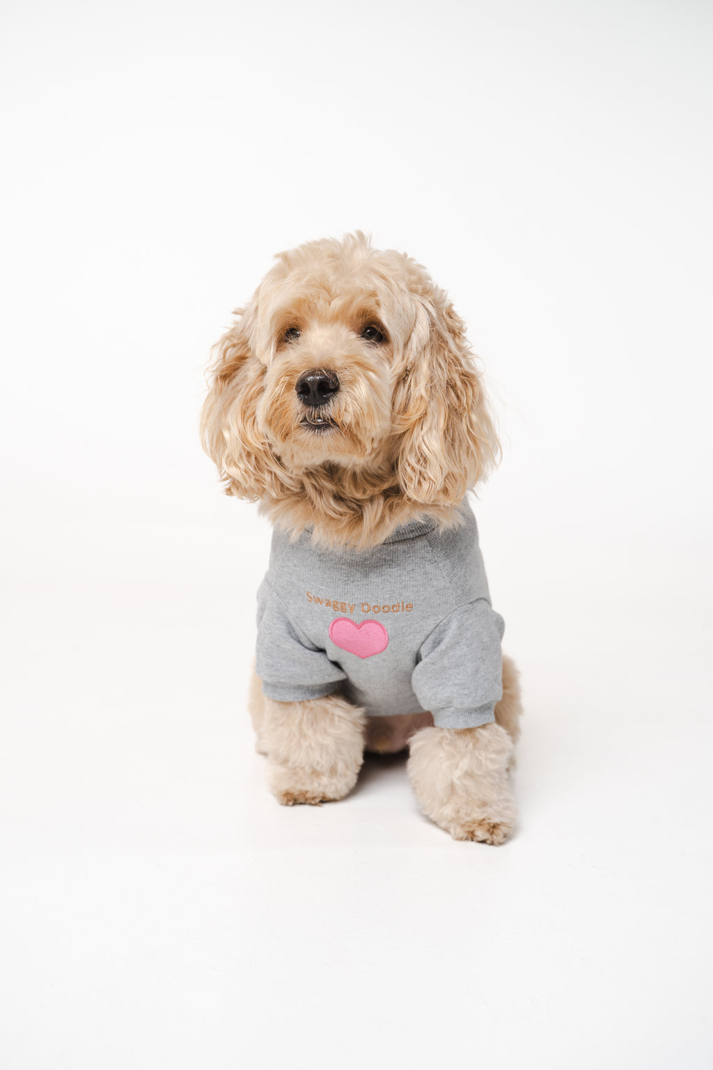 Dog's Pink Heart Patched Sweatshirt gray