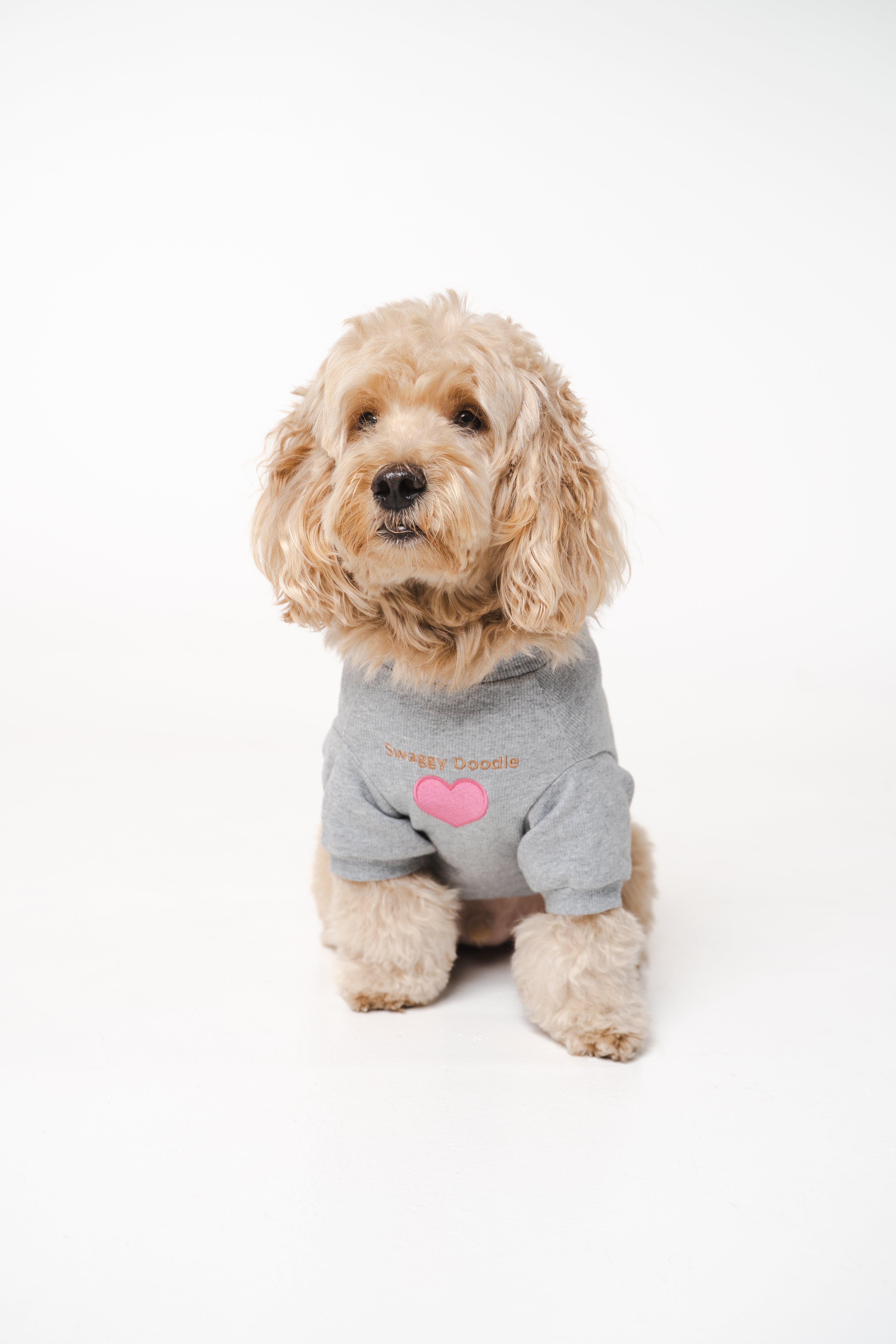 Dog's Pink Heart Patched Sweatshirt gray