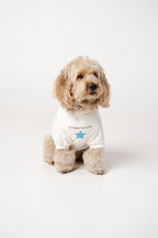 Dog's Blue Star Printed Sweatshirt white