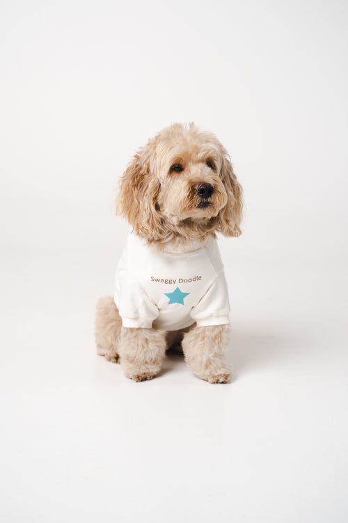 Dog's Blue Star Printed Sweatshirt white