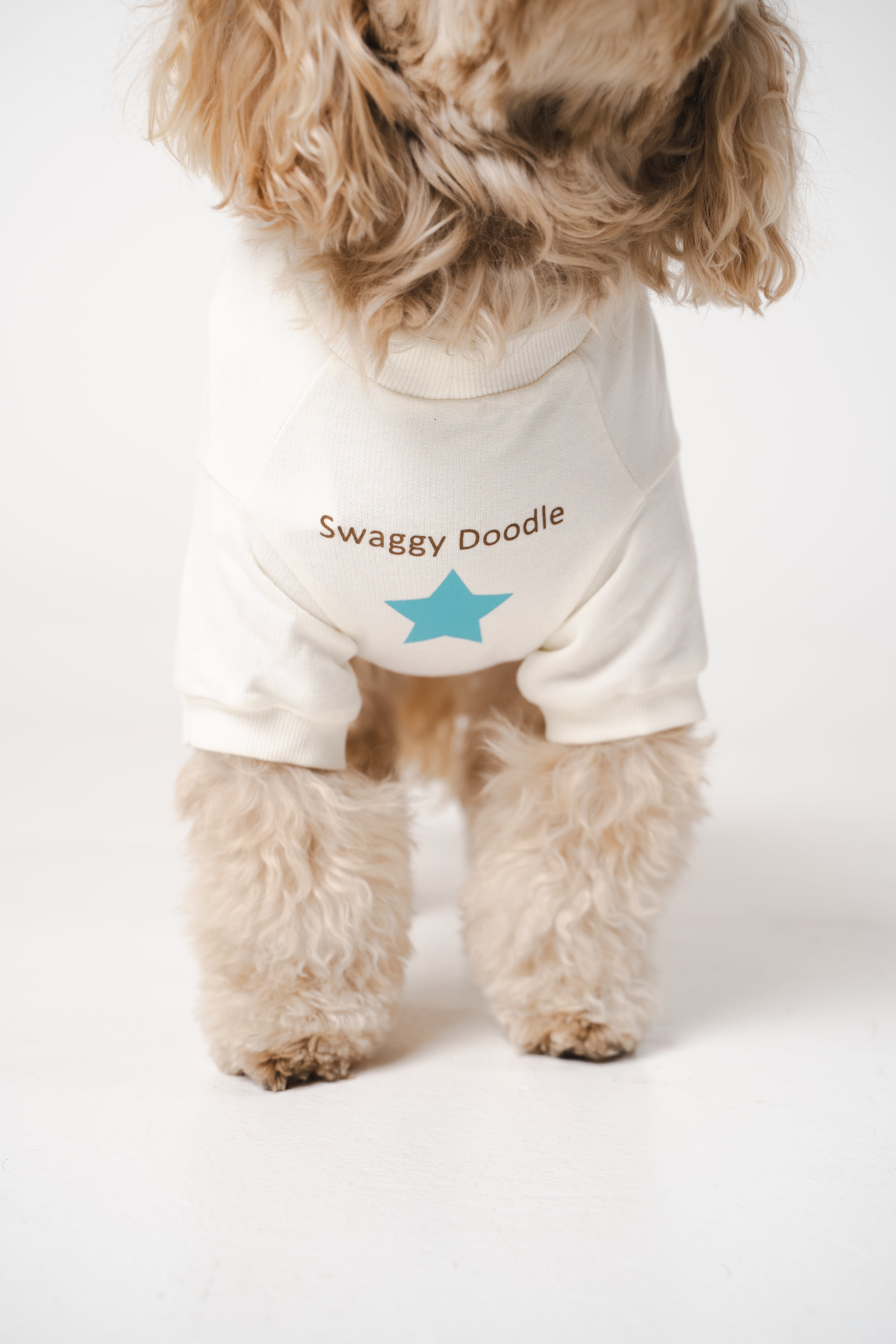 Dog's Blue Star Printed Sweatshirt white