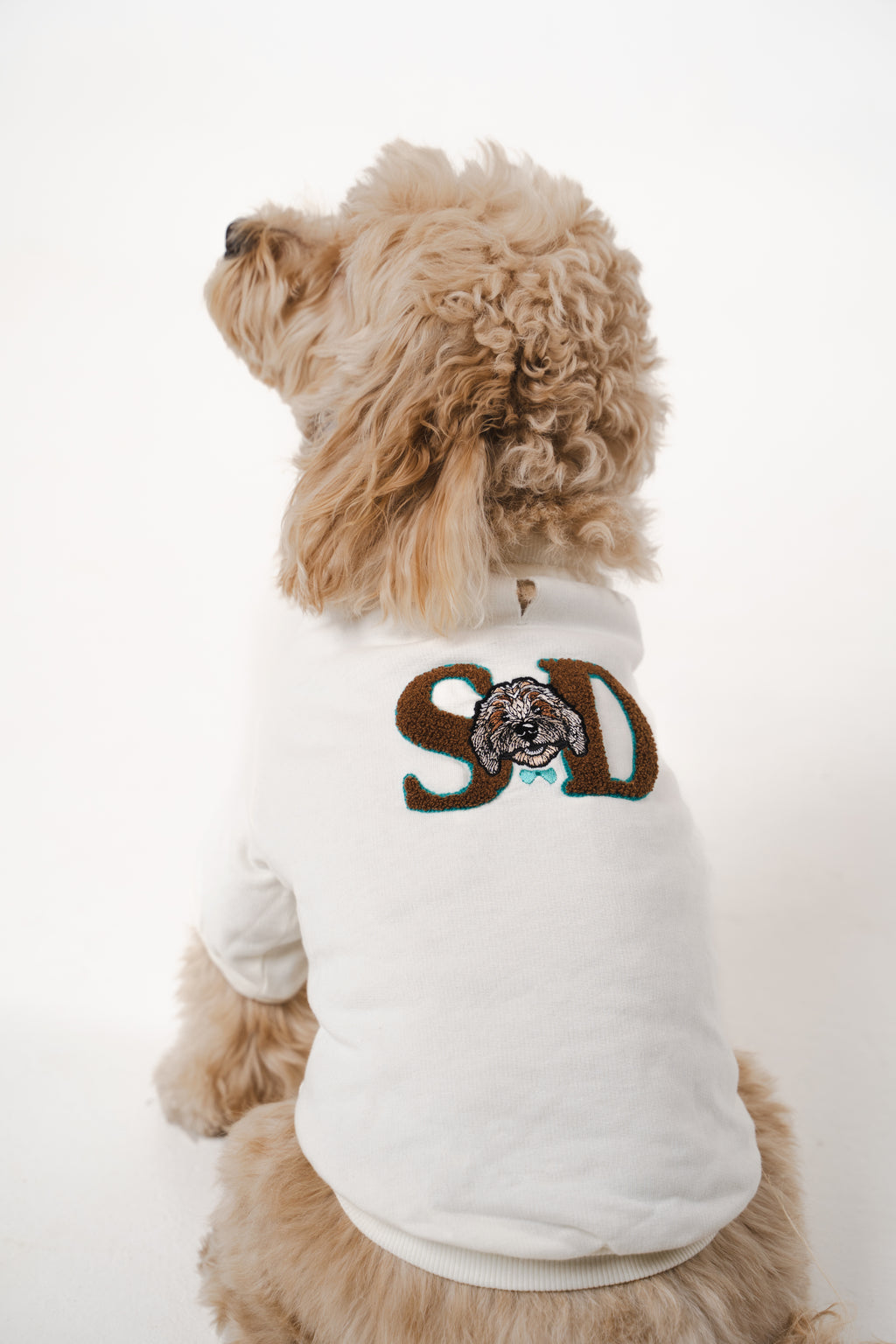 Doodle Dog's Blue Star Patched Sweatshirt