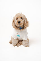 Doodle Dog's Blue Star Patched Sweatshirt