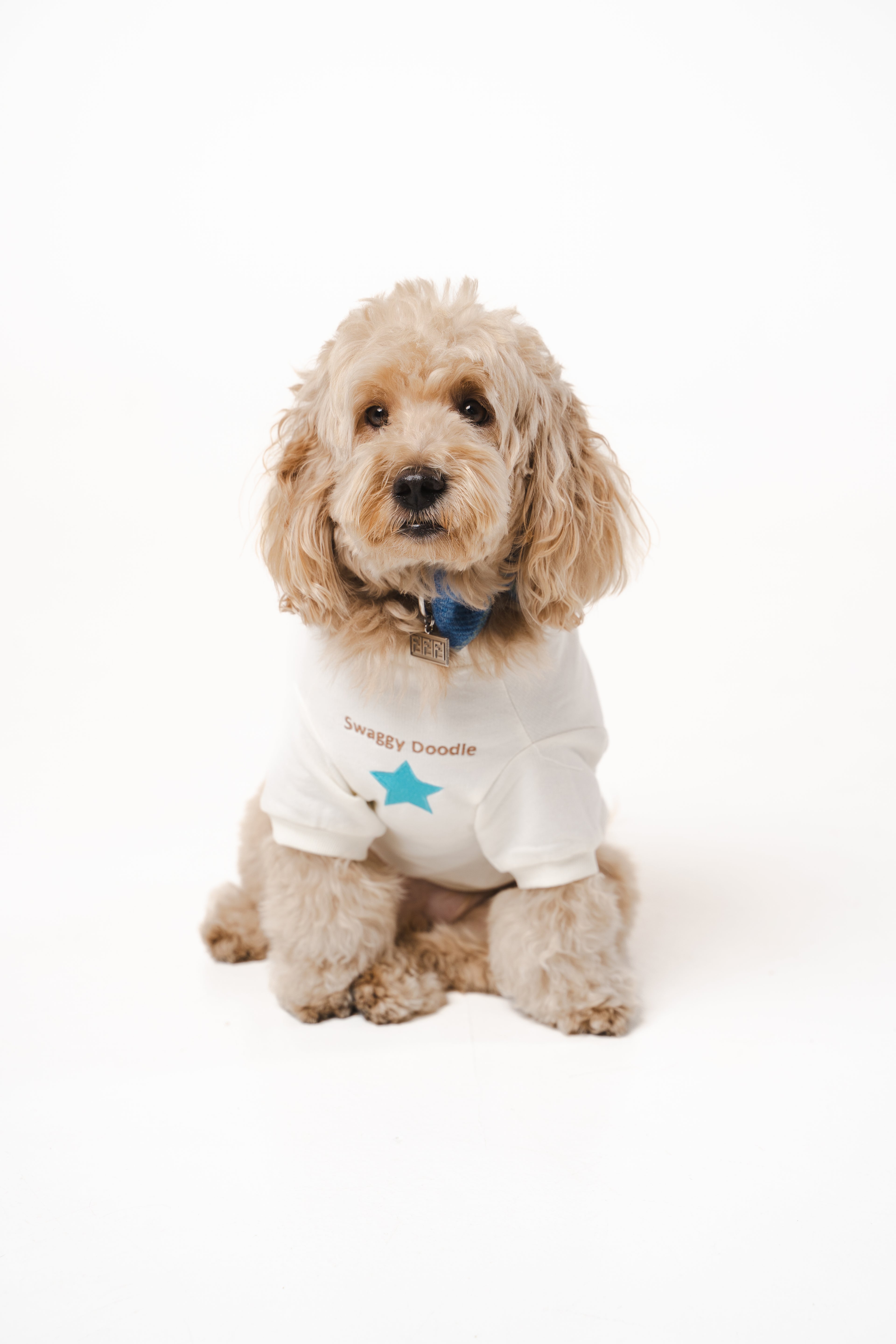 Doodle Dog's Blue Star Patched Sweatshirt