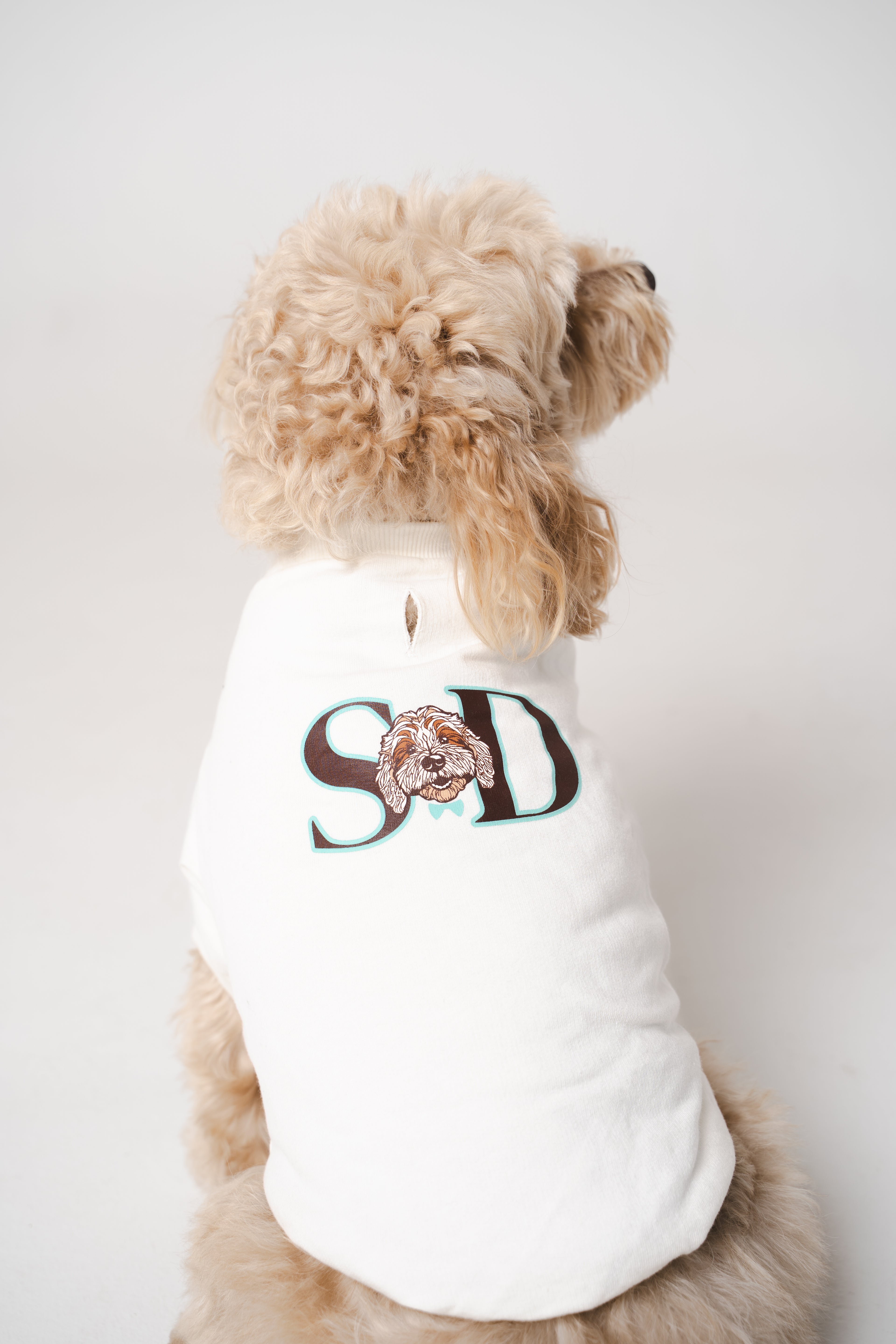 Dog's Blue Star Printed Sweatshirt white