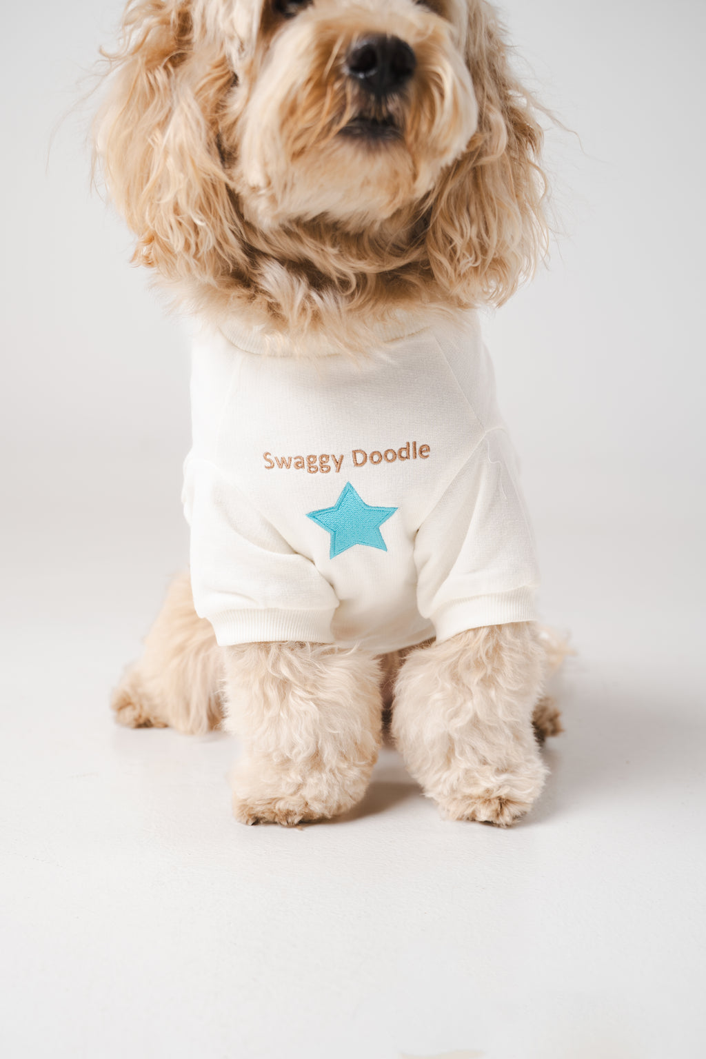 Doodle Dog's Blue Star Patched Sweatshirt