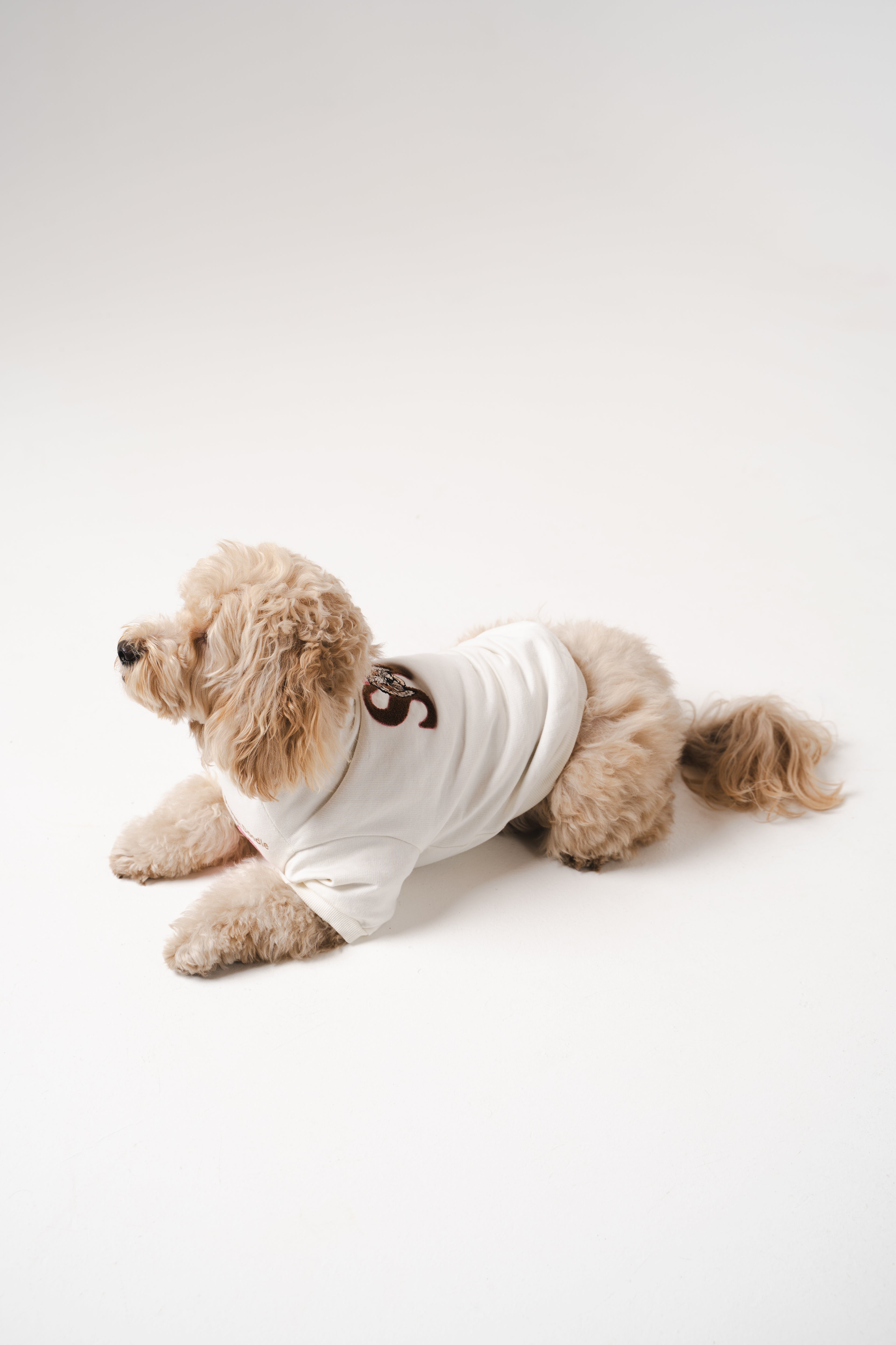 Doodle Dog's Pink Heart Printed Sweatshirt