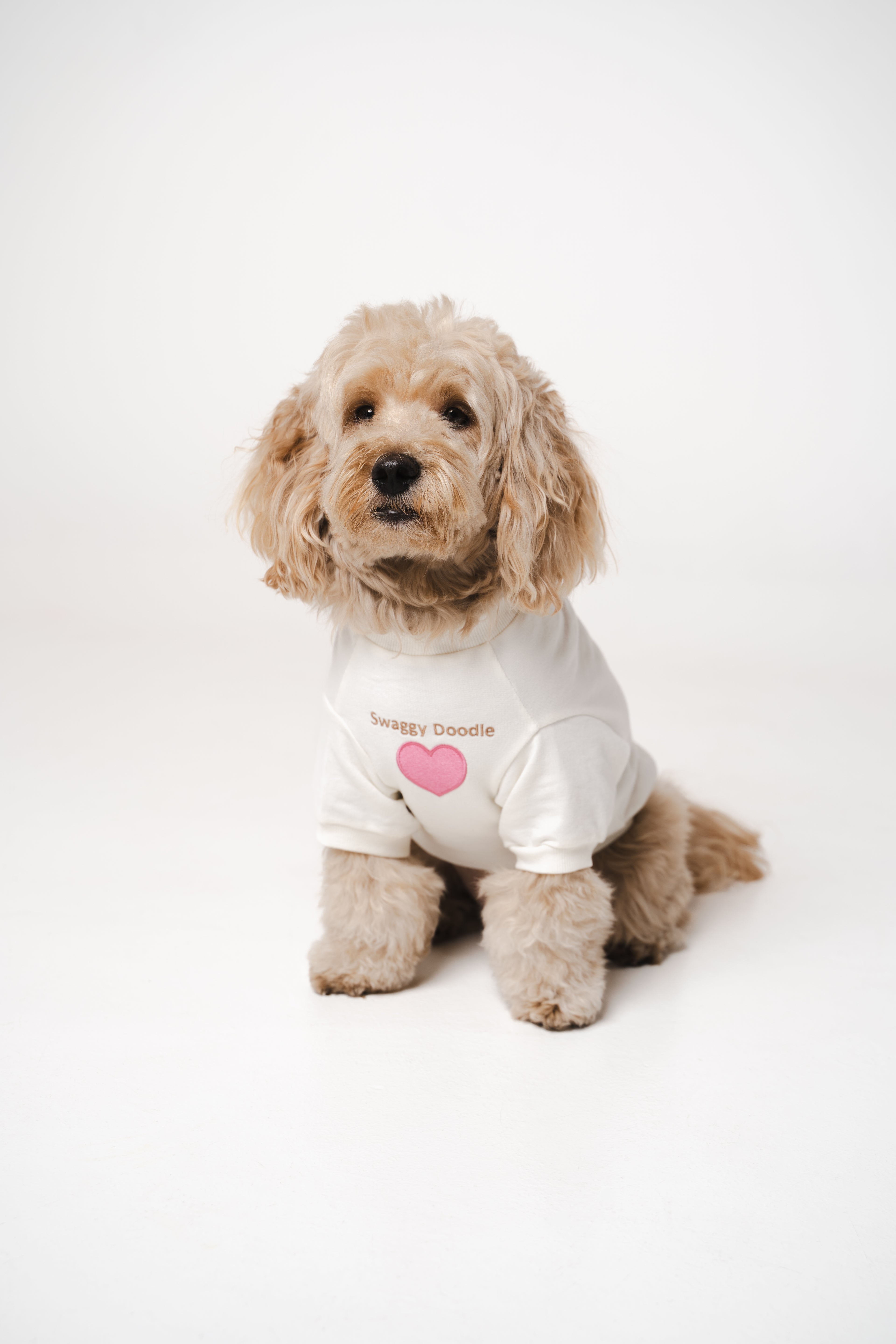 Doodle Dog's Pink Heart Printed Sweatshirt